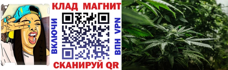 Купить закладку Гашиш  Марихуана  APVP  Мефедрон  Гаджиево