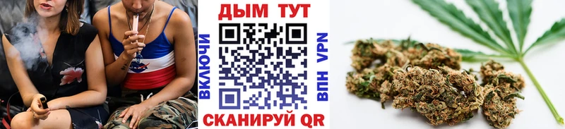 Купить где  Гаджиево  Бошки Шишки White Widow 